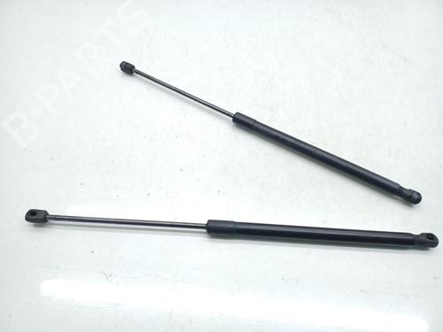Used Tailgate lift support FORD FIESTA VI (CB1, CCN) 1.0 EcoBoost (100 hp) 27491724