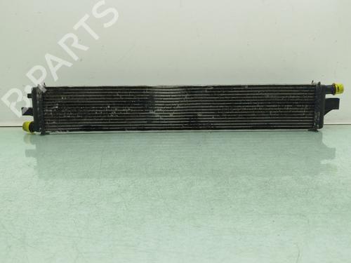 Water radiator OPEL MOVANO B Van (X62) | BP31317128M31