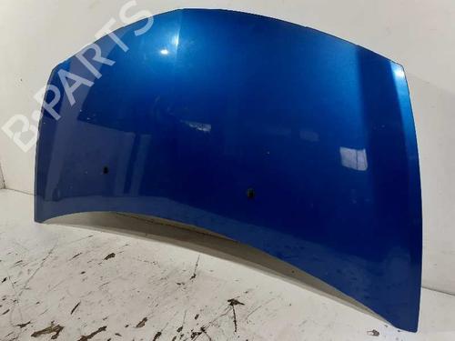 Hood RENAULT CLIO III (BR0/1, CR0/1) 1.5 dCi (BR17, CR17) | BP5665072C1 