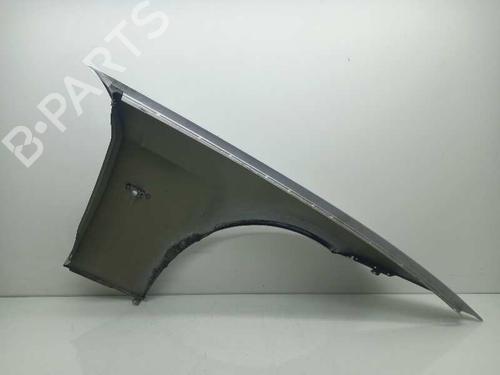Left front fenders BMW 3 Touring (E91)  | BP13513372C41 