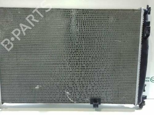 Used Water radiator NISSAN QASHQAI / QASHQAI +2 I (J10, NJ10, JJ10E) 2.0 dCi (150 hp) 2724403
