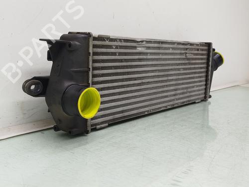 Intercooler RENAULT TRAFIC II Bus (JL) 2.0 dCi 115 (JL00, JL01, JL0H, JL0M, JL0U) | BP38287084M30 - Image 2
