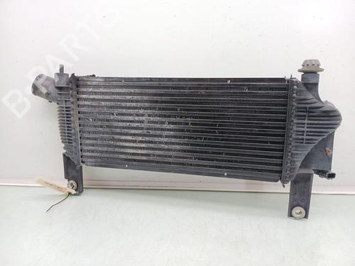 Intercooler NISSAN PATHFINDER III (R51) 2.5 dCi 4WD | BP33016450M30  - Image 5