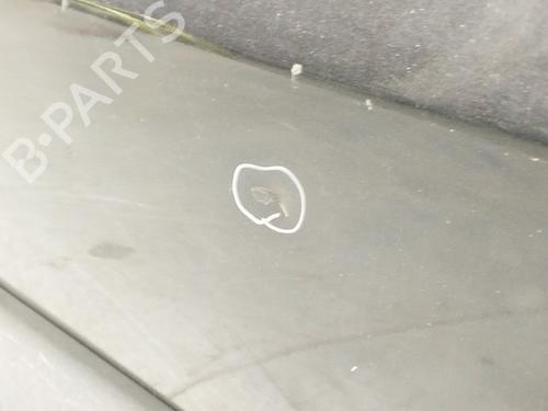 Left rear door VW TIGUAN (5N_) 2.0 TDI 4motion | BP22637215C4 