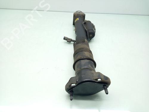 Left rear shock absorber MERCEDES-BENZ R-CLASS (W251, V251) R 350 CDI 4-matic (251.124, 251.125) | BP17330058M18 