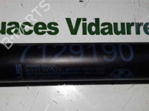 Hood lift support BMW 3 Touring (E91) 320 d | BP14306510C139 