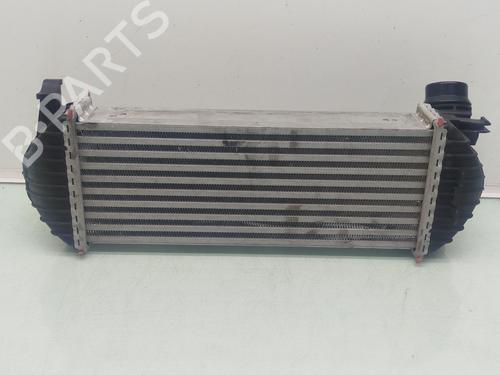 Intercooler MERCEDES-BENZ CITAN Box Body/MPV (W415) 109 CDI (415.601, 415.603, 415.605) | BP30262233M30 