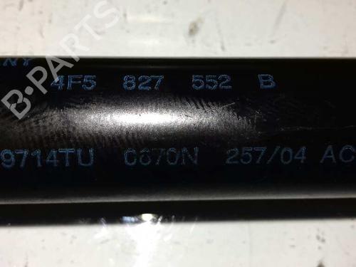Tailgate lift support AUDI A6 C6 (4F2) 3.0 TDI quattro | BP14306347C138 