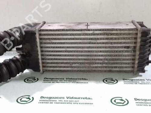 Intercooler CITROËN XSARA PICASSO (N68)  | BP1740596M30 
