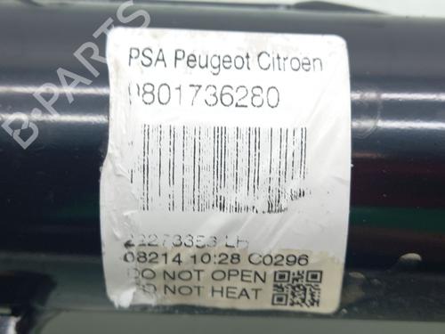 Left front shock absorber CITROËN C3 II (SC_) 1.2 VTi 82 | BP18166183M16 