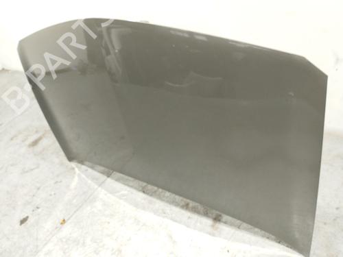 Hood RENAULT MEGANE II (BM0/1_, CM0/1_) 1.5 dCi (BM1F, CM1F) | BP21272210C1 