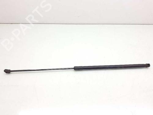 Hood lift support VW GOLF VI (5K1)  | BP14309259C139 