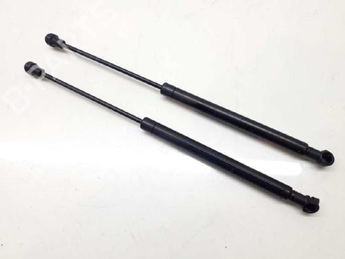 Used Tailgate lift support RENAULT SCÉNIC II (JM0/1_) 1.9 dCi (JM0G, JM12, JM1G, JM2C) (120 hp) 14307907