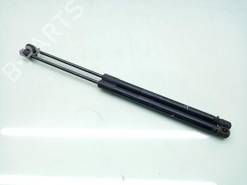 Used Tailgate lift support CITROËN C4 II (NC_) [2009-2025]  17751726