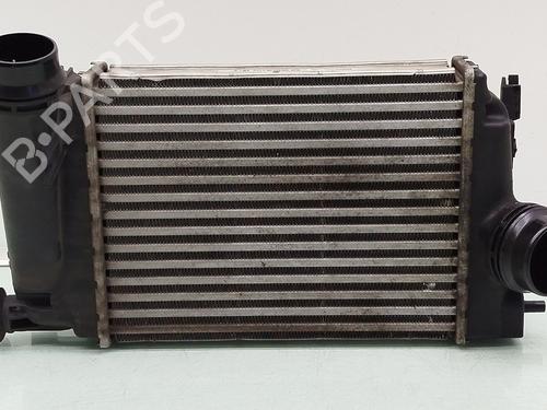 Used Intercooler RENAULT KADJAR (HA_, HL_) 1.2 TCe 130 (HLMR) (130 hp) 25784163
