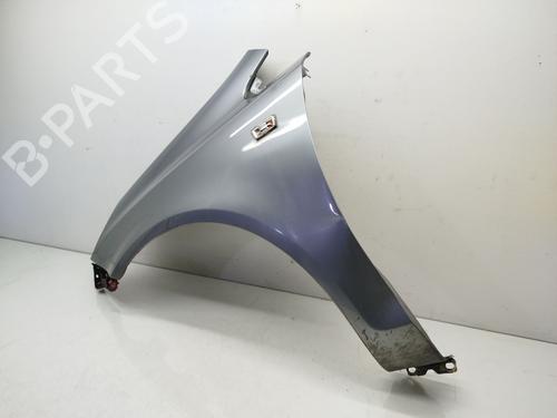 Left front fenders OPEL CORSA D (S07) 1.3 CDTI (L08, L68) | BP18603693C41 