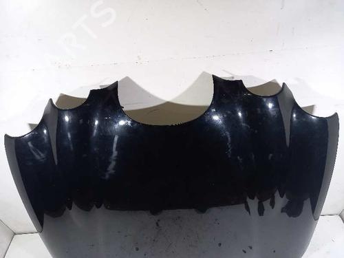 Hood JAGUAR S-TYPE II (X200) 3.0 V6 | BP12548572C1 