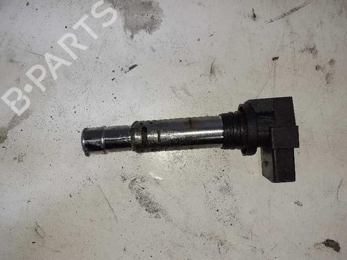 Used Ignition coil SEAT IBIZA IV (6J5, 6P1) 1.4 (85 hp) 6018994