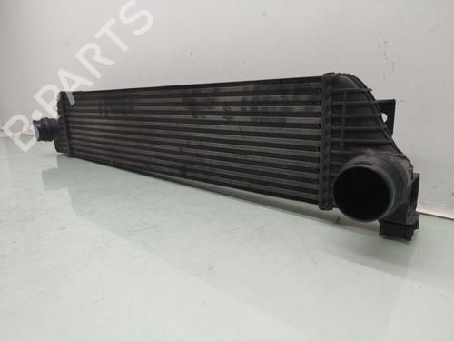 Intercooler OPEL MOVANO B Van (X62)  | BP29259010M30 