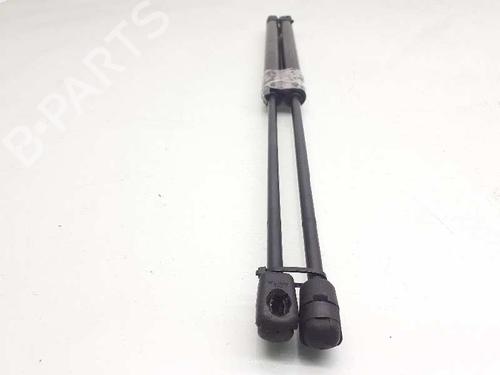 Hood lift support JAGUAR XE (X760)  | BP14309474C139 