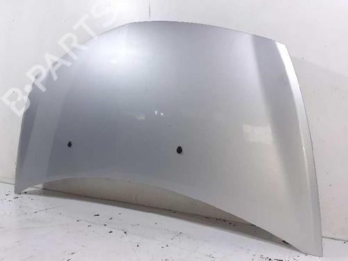 Hood RENAULT CLIO III (BR0/1, CR0/1) 1.5 dCi (BR17, CR17) | BP7846697C1 