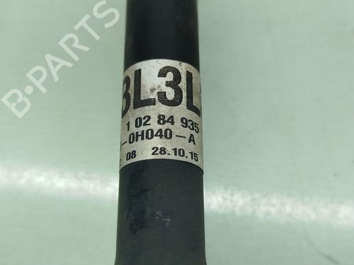 Left front driveshaft TOYOTA AYGO (_B4_)  | BP29544694M38 
