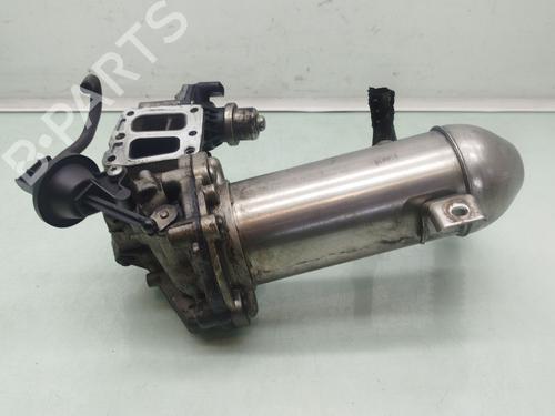 Egr FORD TRANSIT CUSTOM V362 Van (FY, FZ)  | BP32109173M69 