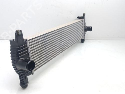 Intercooler PEUGEOT LANDTREK 1.9 All-wheel Drive (150 hp) 29250896