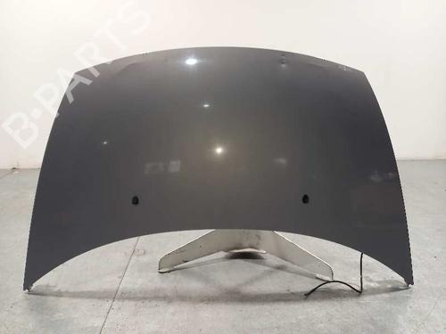 Used Hood CITROËN C3 I (FC_, FN_) [2002-2013]  18200071
