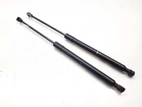 Used Tailgate lift support DACIA SANDERO II 1.2 (75 hp) 14308092