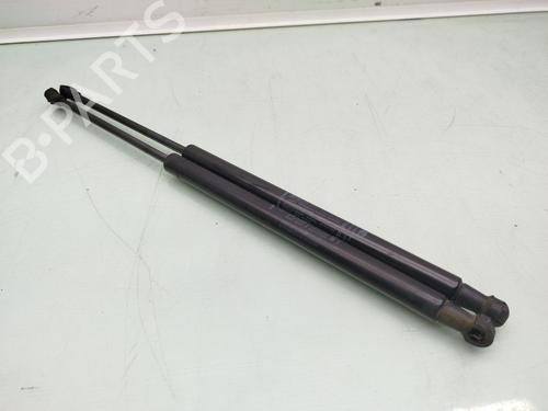Used Tailgate lift support FIAT 500 (312_) 1.2 (312AXA1A) (69 hp) 19405424