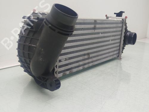 Intercooler MERCEDES-BENZ CITAN Box Body/MPV (W415) 109 CDI (415.601, 415.603, 415.605) | BP30262233M30 