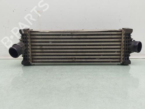 Intercooler FORD TRANSIT CUSTOM V362 Van (FY, FZ) [2012-2026]  32109090
