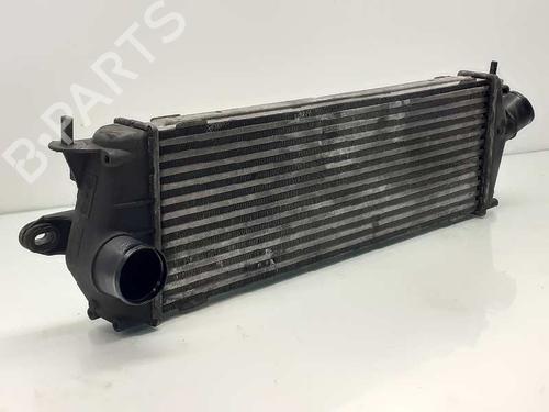 Used Intercooler RENAULT TRAFIC II Van (FL) 2.0 dCi 115 (FL01, FL0U) (114 hp) 6558929