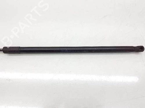 Hood lift support VW GOLF VI (5K1)  | BP14309259C139 