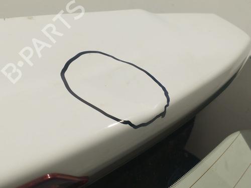Tailgate CITROËN C3 II (SC_) 1.4 HDi 70 (SC8HZC, SC8HR0, SC8HP4) | BP27319741C6 