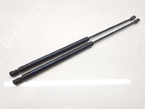 Used Tailgate lift support LAND ROVER RANGE ROVER SPORT I (L320) 2.7 D 4x4 (190 hp) 14308581