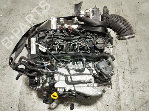 Motor AUDI Q3 (F3B) 35 TDI (150 hp) 28124552