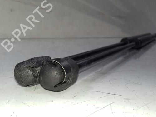 Tailgate lift support CITROËN C4 Picasso I MPV (UD_) 2.0 HDi 138 | BP18294448C138 