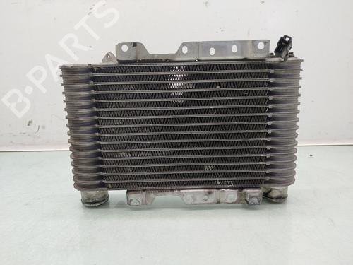Intercooler HYUNDAI GALLOPER II (JK-01)  | BP24034197M30 