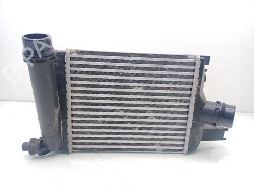 Intercooler DACIA SANDERO II  | BP16343862M30 