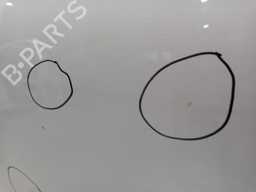 Right front door RENAULT SCÉNIC III (JZ0/1_) 1.6 dCi (JZ00, JZ12) | BP32240374C3