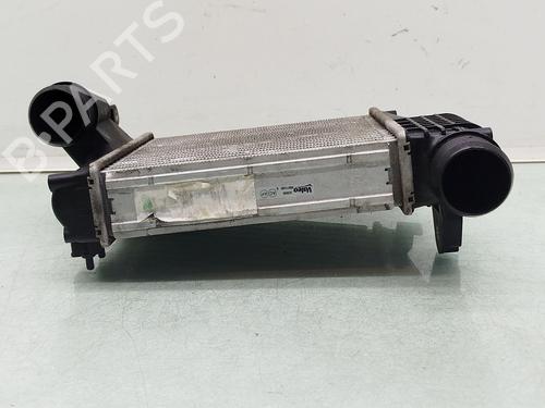 Intercooler PEUGEOT 3008 II SUV (MC_, MR_, MJ_, M4_) 1.2 THP/ PureTech 130 (MRHNSM, MRHNSU, MRHNSJ, MRHNYW,... | BP30576571M30 