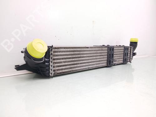 Intercooler RENAULT LAGUNA Coupe (DT0/1) 3.0 dCi (DT03) | BP40106732M30 - Image 2