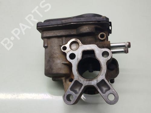 Egr NISSAN PATHFINDER III (R51) 2.5 dCi 4WD | BP24397844M69 