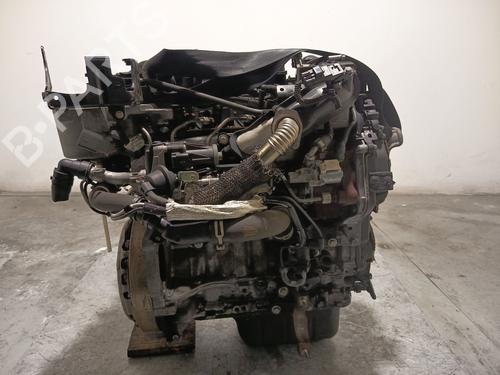 Engine FORD FOCUS III Turnier 1.6 TDCi | BP32220394M1 