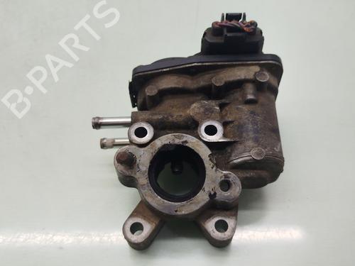 Egr NISSAN PATHFINDER III (R51) 2.5 dCi 4WD | BP24397844M69 