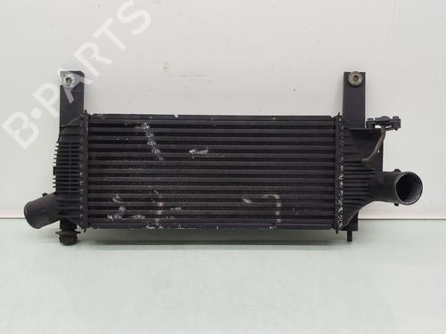 Intercooler NISSAN NAVARA NP300 (D40) 2.5 dCi 4WD (174 hp) 33016498