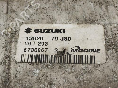 Intercooler FIAT SEDICI (189_) 2.0 D Multijet 4x4 | BP29154581M30 