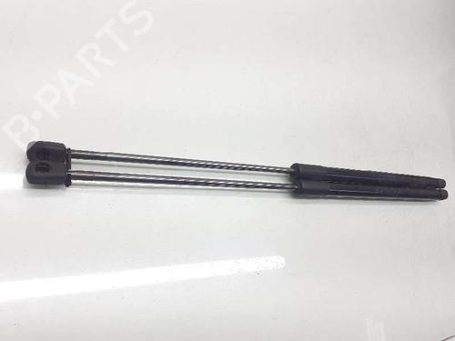 Tailgate lift support FORD FOCUS III 1.0 EcoBoost | BP14309589C138 